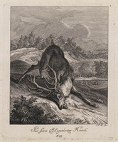 KG 01075
          <br/>
          Entwurf einiger Thiere. Dritter Theil. (18 bladen)
          <br/>
          <em>Ridinger, Johann Elias (1698-1767)</em>